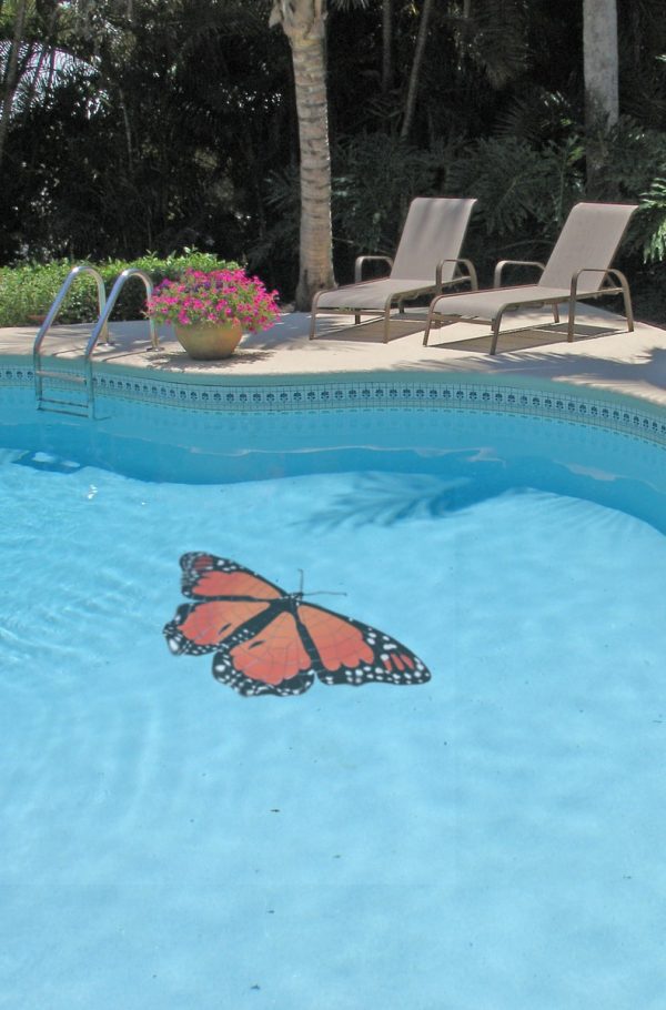 Custom Monarch Butterfly Pool 600x910 